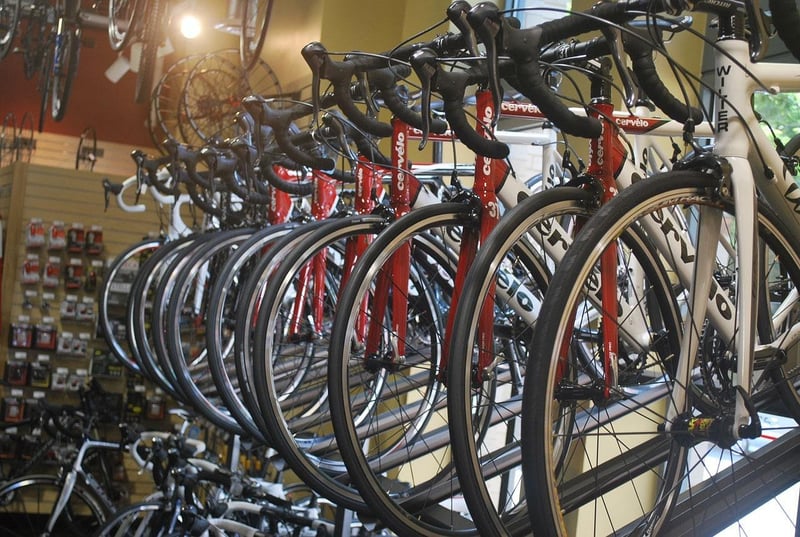 Bicycle Wheel Trellis